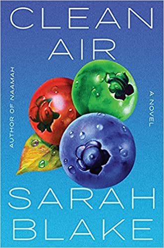 Clean Air by Sarah Blake, finished on Nov 19, 2022